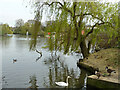 Lake, Harrow Lodge Park