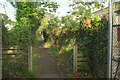 SX9264 : Footpath, Warberries by Derek Harper