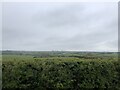 Countryside near Ratford Bridge