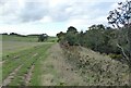 Footpath from Bilton Mill towards Alndyke