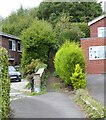 Footpath between the houses