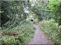 NT2972 : Path near Duddingston House by Richard Webb