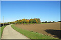 Early autumn near Yen Hall Farm