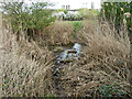 Looking across the Romford Canal