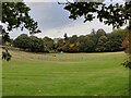 Paddocks on the western edge of Kidderminster