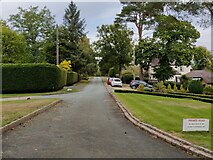 SO8075 : Whitehill Road at Sutton Park, Kidderminster by Mat Fascione