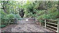 Gated track into woods at Southburn Dene