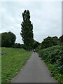 Taff Trail, south-east Llandaff North