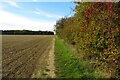 Footpath to Stonyhills