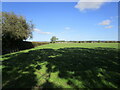 Grassland, Little Moor