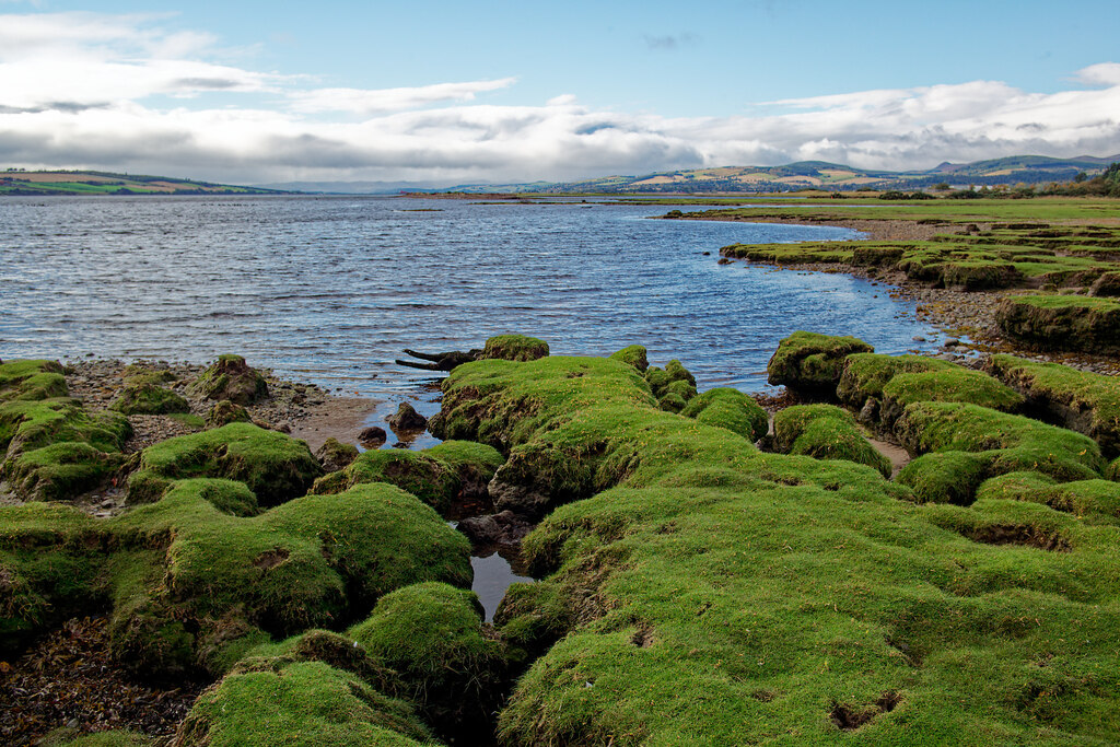 The Cromarty Firth Near The Yankee Pier Julian Paren Geograph   7309949 F1d64a69 1024x1024 