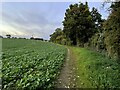 Footpath to Marshall