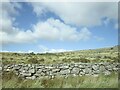 Dartmoor near Parson