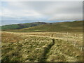 NS2260 : Path and new deer fencing near Cauld Rocks by Alan O