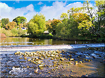 SK2168 : Weir on the River Wye at Bakewell by David Dixon