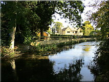 SP1620 : The River Windrush, Bourton on the Water by Jonathan Thacker