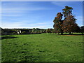 Grass field, Bourton on the Water