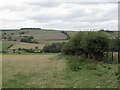 Pasture, Abberwick