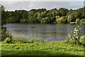 Lake, Chorlton Water Park