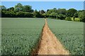 Farmland, Alton