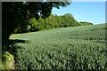 Farmland, Newton Valence