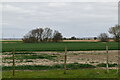 Farmland, Romney Marshes