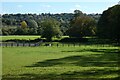 Pasture, Farnham