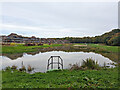 Balancing pond, Woodgate, Pease Pottage