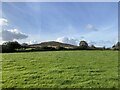 Foel Trigarn from the roadside