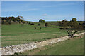 Hillside at Kitesbridge Farm