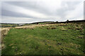 NY9220 : Barn between Three Chimneys and Lane Head, Kelton by Andy Waddington