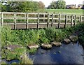 Footbridge and stepping stones