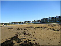 NT5585 : Housing  along  the  seafront  at  North  Berwick by Martin Dawes