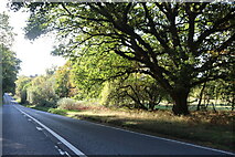 TL0038 : Woburn Road, Millbrook by David Howard