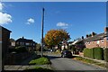 Autumnal colours on Thief Lane