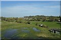 Waterlogged farmland, Milford