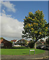 Small green space, Stoke Bishop