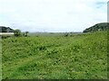 View to Cwm Ivy Marsh