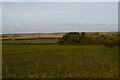 View north from Ferry Road, Felixstowe