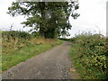 Track and footpath to Allanfauld