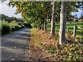 Drakelow Lane towards Drakelow