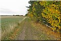 Ridge Way bridleway to the byway