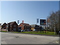 New housing, Harnham Park