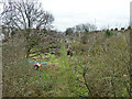 Allotments on course of Palace Gates branch line