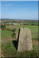 Holy Cross Farm Haswell viewed from Trig Station on Mawsons  Hill