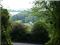 Road descending to Nevern Bridge  