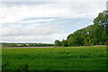 Farmland adjacent to Foxholes Wood, St Paul