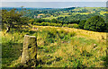 Old Stone Gatepost