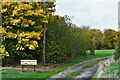 Redenhall with Starston: Track to Nuttree farm