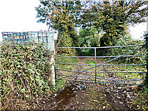 S3061 : Gate and Lane by kevin higgins